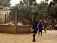 China 1988 Dong women at Kunming zoo