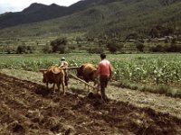 China 1988 near Lijiang