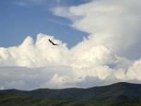 China 1988 HongYuan, Sichuan?