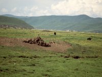 China 1988 HongYuan, Sichuan?