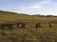 China 1988 HongYuan, Sichuan?