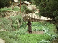 China 1988 Juzhaigao, NP