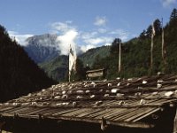 China 1988 Juzhaigao, NP