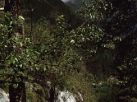 China 1988 Juzhaigao, NP