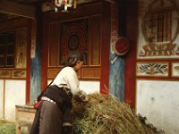 China 1988 Juzhaigao, NP