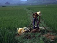 China 1988 traditional irrigation - irrigatie op zijn chinees