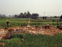 China 1988 ploughing the soil