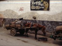 China 1988 Dali 1988