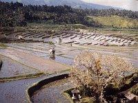 FBLIndonesie1990-Bali01