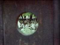 Tsjechoslowakije 1983  Prague,  jewish cemetry