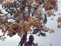 India 1987  Sahelion Ki Bari, Udaipur