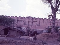 India 1987  Wall Around Amber Fort, Jaipur, India