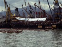 China 1988  dragon boat races, Hong Kong harbour
