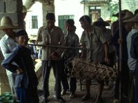 China 1988  wegen van een varken op de markt, Yangshuo market