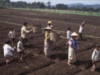 FBLIndonesie1990-024