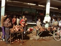 Sahara 1991  sheep heads, Oujda