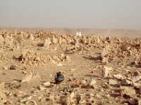 Sahara 1991  Beni Isguen cemetery