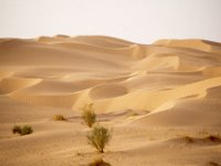 Sahara 1991  first sanddunes Sahara