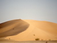 Sahara 1991  sanddunes in desert