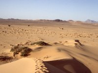 Sahara 1991  sanddunes Arak