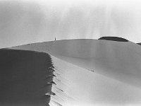 Sahara 1991  Algeria, sanddune