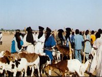 Sahara 1991  saltmarket with Tuaregs in Agadez, Niger