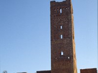 Sahara 1991  Mansoura, Tlemcen