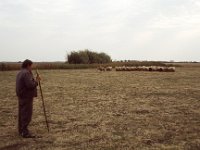 Hongarije 1992  shepherd, Hungary