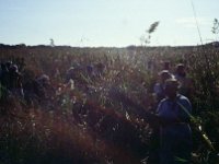 Zuid-Afrika 1995  Harvesting in Natal.