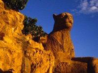 South Africa 1995  Sun city