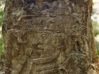 Central America 1998  Detail of Stela 14 depicting a ballplayer on a Non-Classic Maya style,Copán, Honduras