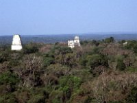 Central America 1998  Maya monuments in Tikal, Guatemala