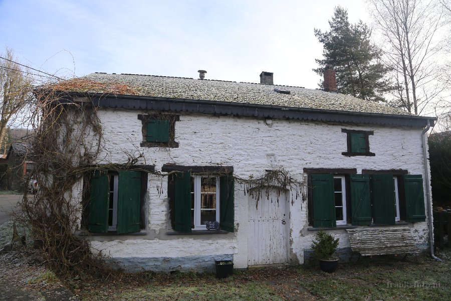 FBL20896