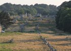 FBL15509 : Carnac