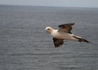 IMG 7608