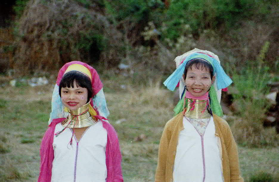  long necks