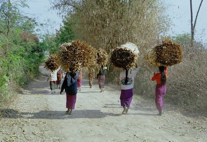 my702.jpg - Inle lake