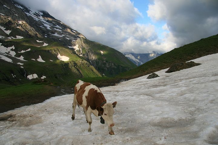 IMG_4640.JPG - Surenenpas