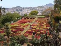 Madeira Botanical Garden