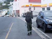 baboonguard, Simonstown