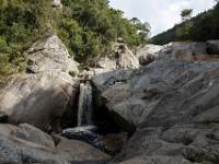 half colored kingfisher trail