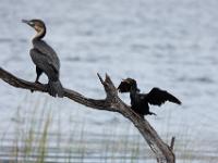 SANParks Rondevlei Bird Hide
