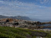 cliff path, Hermanus