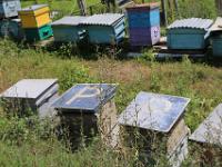 Beehives