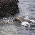 IMG_3665.jpg