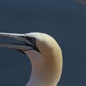 helgoland2012
