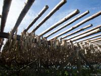 stockfish, unsalted fish