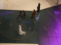IMG 8570