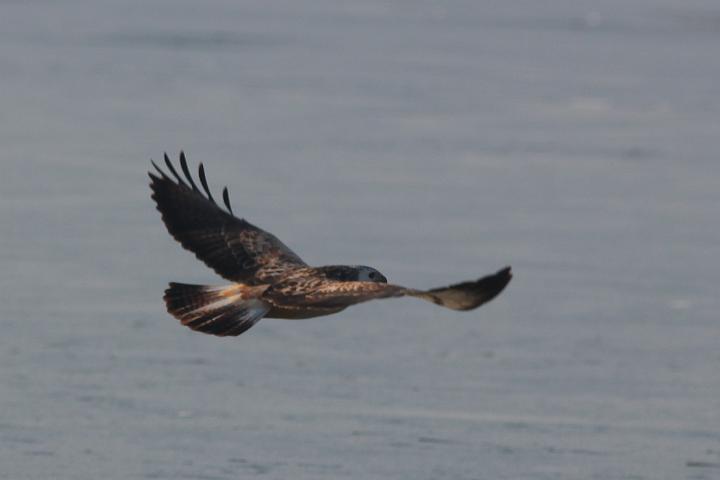 IMG_7126.JPG