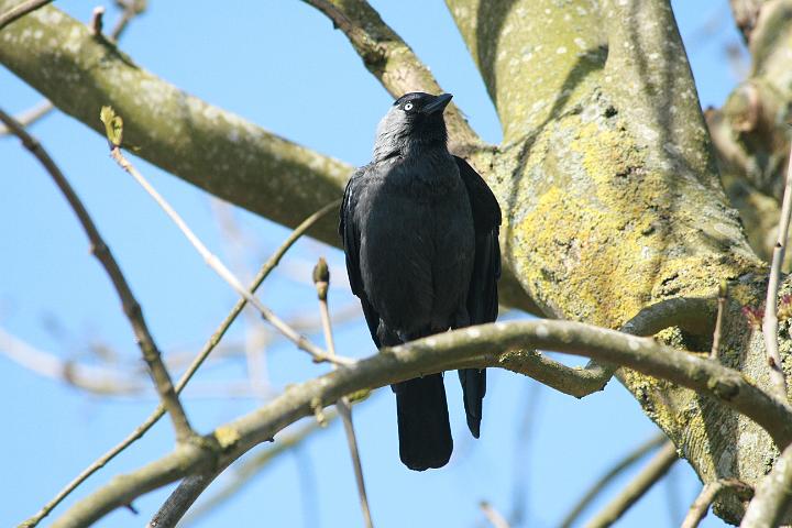 IMG_2865.JPG